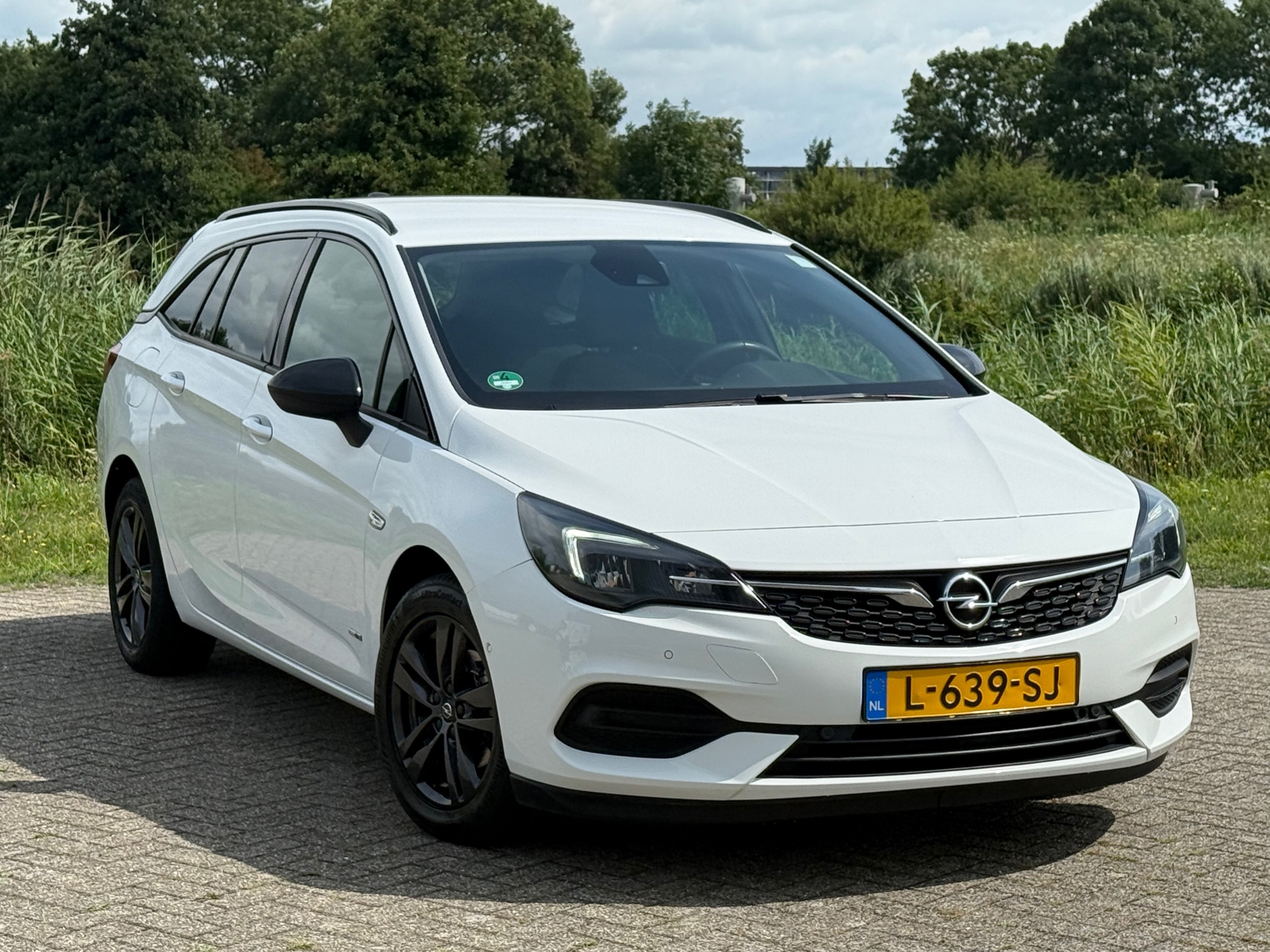 46453120-24.jpg