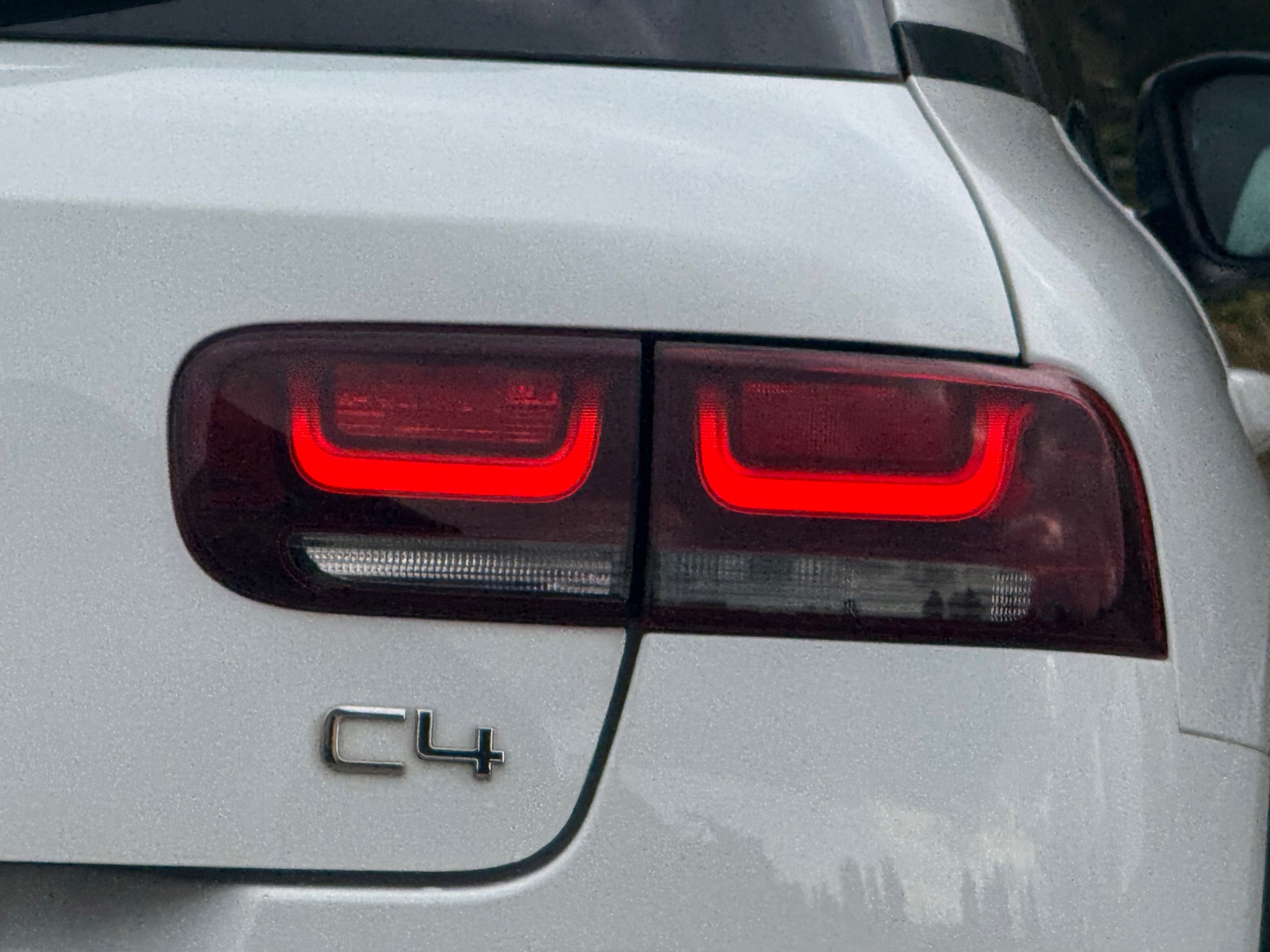 48533799-5.jpg