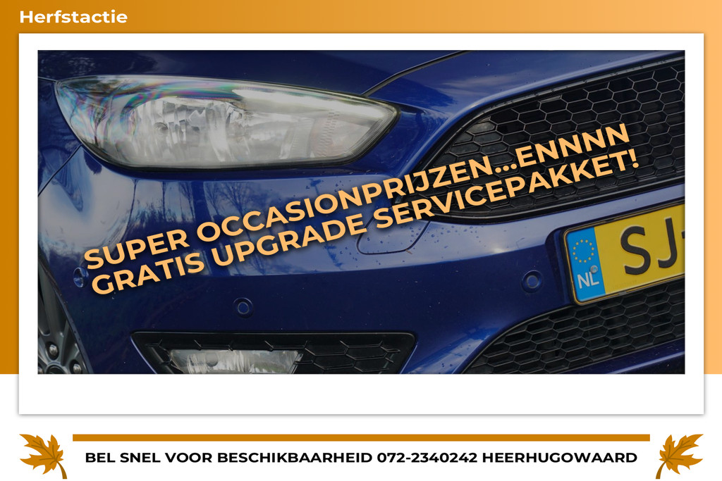 49407348