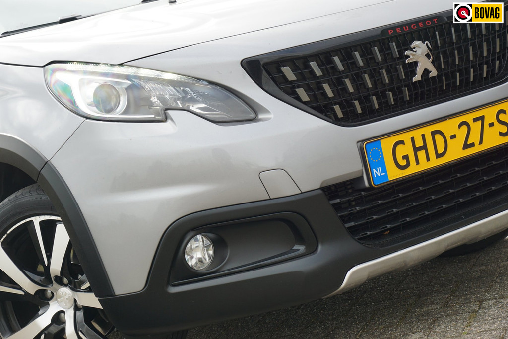 51849154