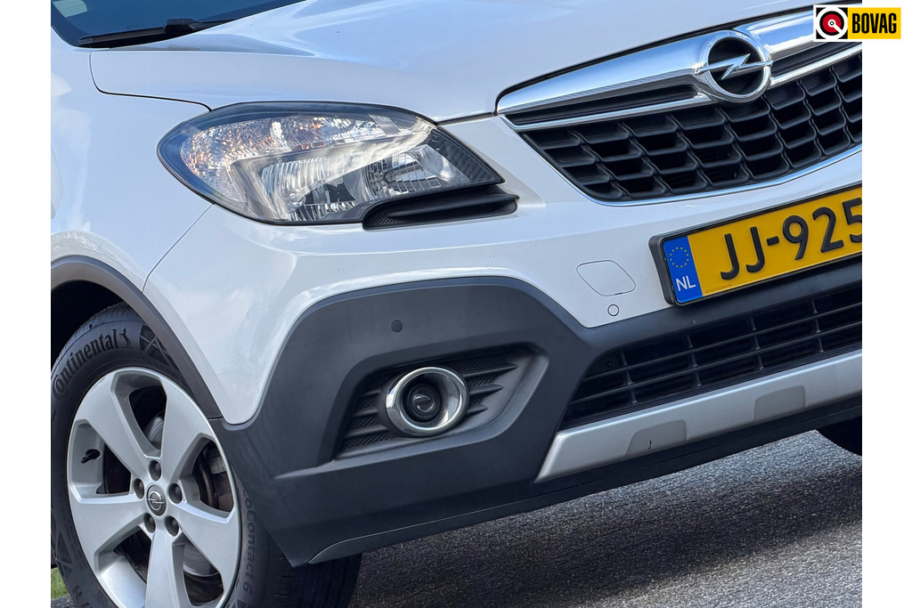 52017029