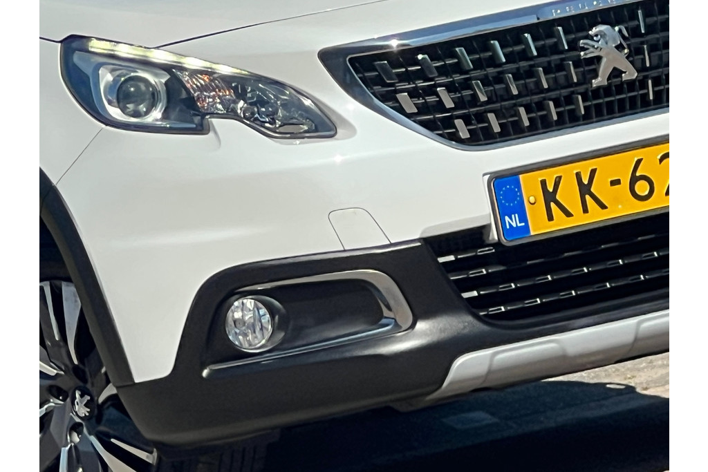 53066804