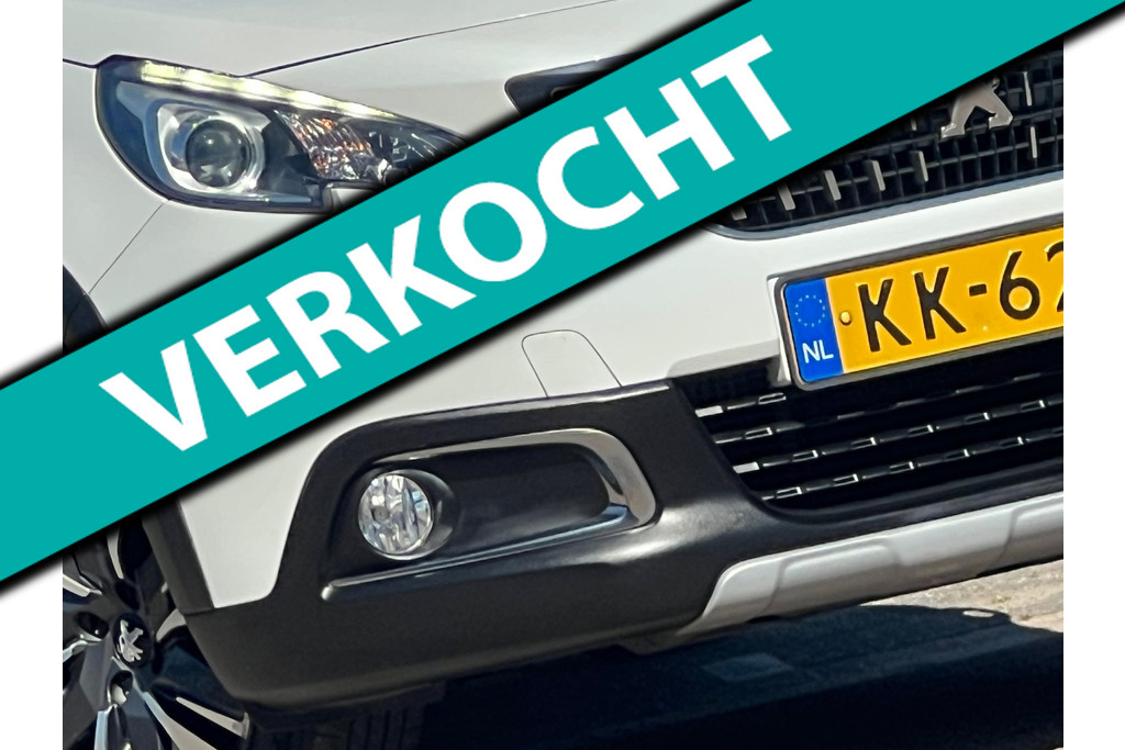 53066804