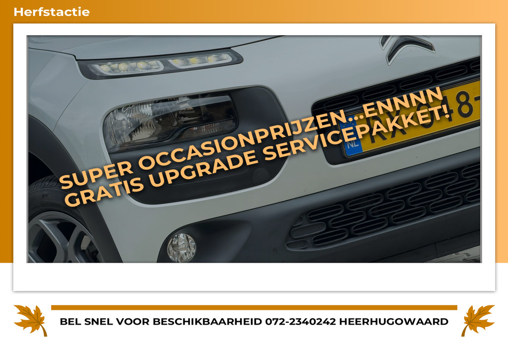 53395586