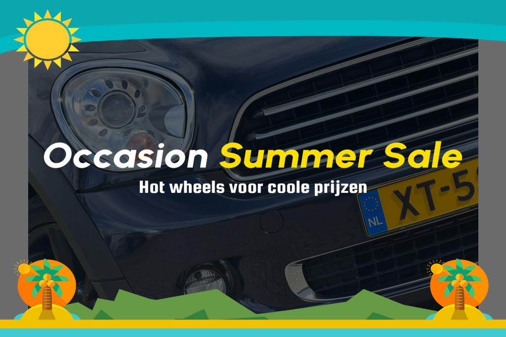 55504229