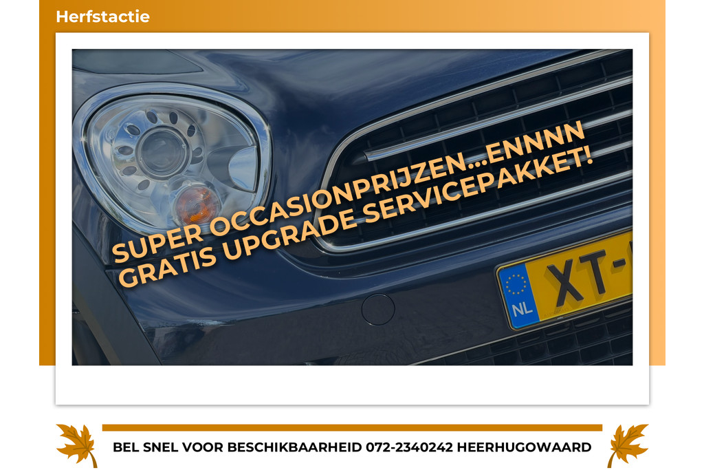 55504229