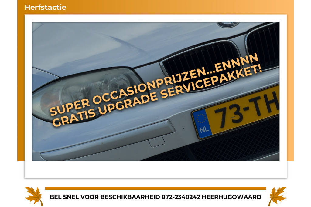 56355156